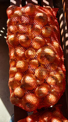 Bag of Onions from the Harvest