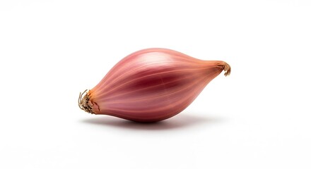 Single fresh red shallot onion isolated on a white background.
