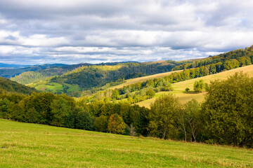 beautiful early autumn forenoon in mountains. trees on the rolling hills. wonderful countryside of ukraine in dappled light