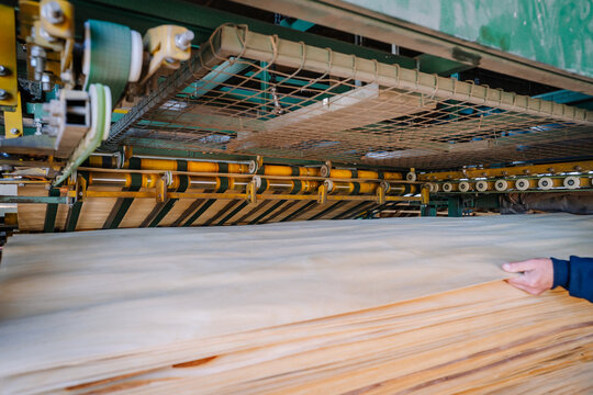 Close-up of a worker’s hand adjusting thin wood veneer sheets on an industrial machine in a factory during plywood production process. - Powered by Adobe