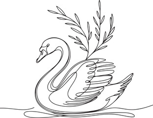 vector illustration of a white swan