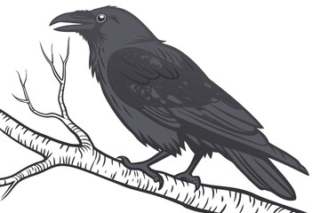 Fototapeta premium A detailed illustration of a raven perched on a bare tree branch