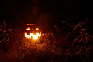 Spooky Halloween pumpkin jack-o-lantern with burning candles in scary forest at night