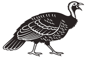 Black and white silhouette of a strutting turkey