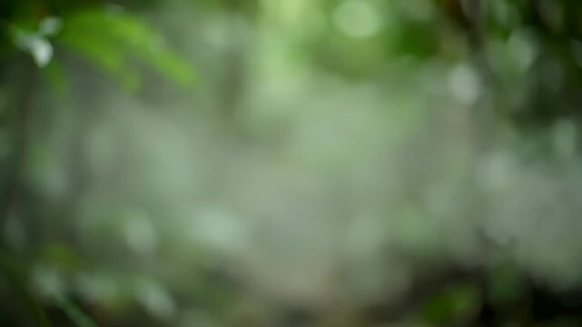 Minimal Rainforest Mist Abstraction with Green Haze