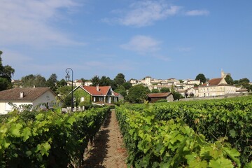 Vue d'ensemble du village, village de Saint Emilion, d&eacute;partement de la Gironde, France