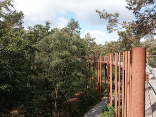 Fototapeta premium Fietsen door de Bomen ‍, an attraction for cyclists in Hechter Eksel, Limburg, Belgium