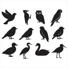 Set of bird silhouettes illustration with cute and wild birds flying and perched