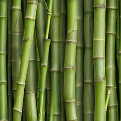 Fototapeta premium Seamless Green Bamboo Stalks Texture 