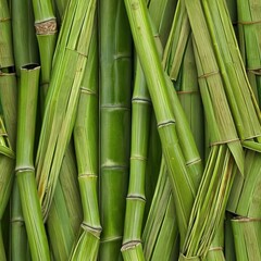 Fototapeta premium Seamless Green Bamboo Stalks Texture 