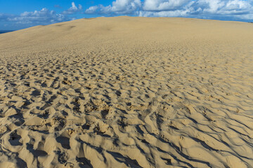 Fototapeta premium Dune du Pilat