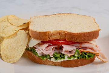tu8rkey sandwich with  potato chips,