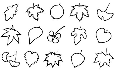 Transparent Autumn Leaves Set