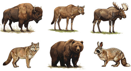 Obraz premium North American Wildlife Bison Wolf Moose Bear Puma and Jackrabbit on White Background