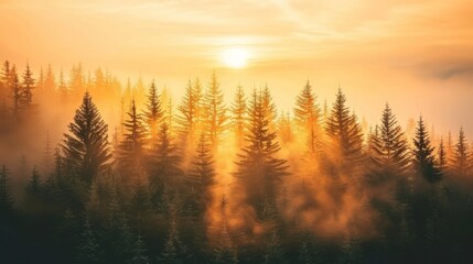 Misty forest at sunrise with golden rays piercing through fog in a cinematic and tranquil setting