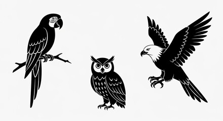 Silhouette birds illustration set