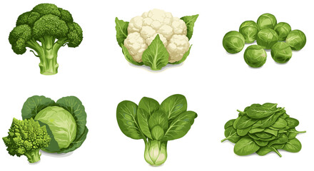 Fresh Assortment of Healthy Green and White Vegetables Isolated on a White Background