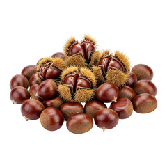 A pile of roasted chestnuts with spiky outer shells and smooth brown nuts isolated on transparent background