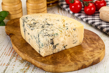 Gourmet blue cheese with mold