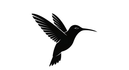 Fototapeta premium Silhouette hummingbird flight
