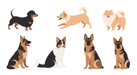 Collection of diverse dog breeds posed for a portrait showing various colors and sizes