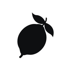 Illustration of a branch with dark leaves on transparent background