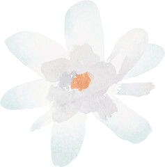 Soft pastel watercolor flower with light petals and orange center,Hand painted isolated on white background for wedding invitation,spring floral clipart,eco packaging and minimal botanical artwork