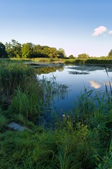Calm waters reflect the sky at a serene riverbank during early evening in a tranquil natural setting