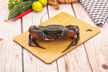 Wild raw crab for cooking