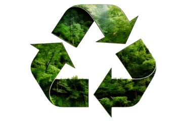 Transparent  PNG 3D Recycle Symbol with Double Exposure of Green Forest Trees, Background