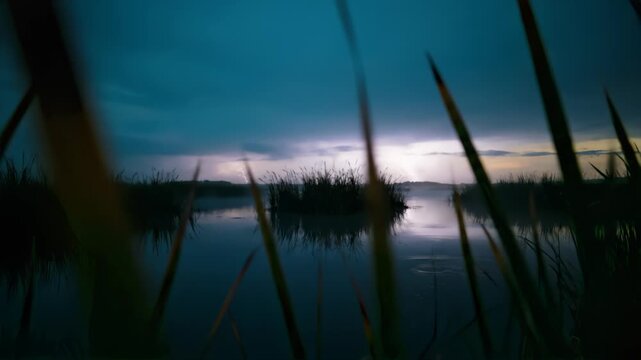 Blue hour coastal marsh flickers with lightning