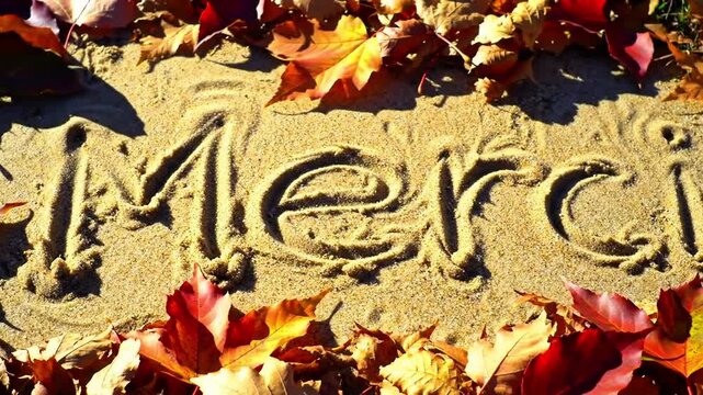 Word "merci" written delicately in sand with fallen leaves around with a grateful and ephemeral mood for an autumn theme with copy space