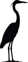 Obraz premium vector silhouette, heron standing tall, long legs, side view, solid black