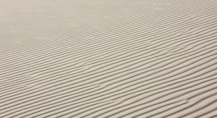 Obraz premium Rippled Sand Dunes in a Desert Landscape.