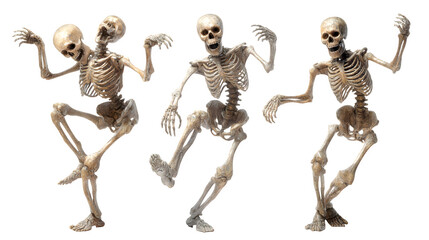 HD realistic clipart set of skeleton figures in dancing poses isolated on white background