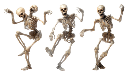 HD realistic clipart set of skeleton figures in dancing poses isolated on white background