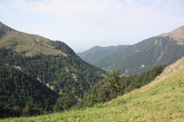 mountain landscape in summer