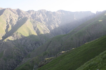 Fototapeta premium mountains in the alps