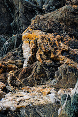 Vertical Close-up shot of igneous rock with inclusions on a beach