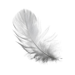 A soft and light feather drifts gently, showcasing intricate details and textures under natural light