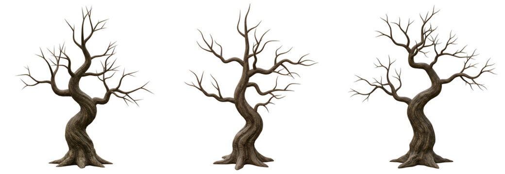 Eerie barren trees stand isolated, perfect for Halloween themes, spooky scenes, and fantasy art with transparent background