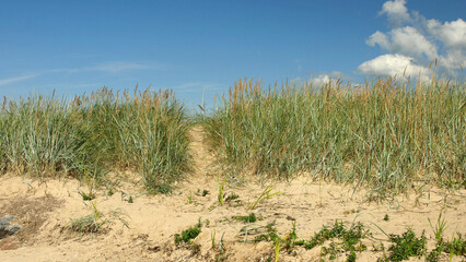 warm autumn day by the sea, calm water, silence in nature, Baltic Sea coast