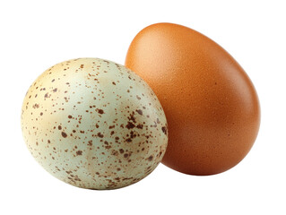 Two eggs, one brown, one speckled