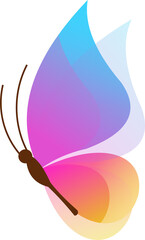 vector illustration of a colorful butterfly