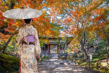 Japanese Woman in Traditional Kimono Dress at Jojakkoji Temple with beautiful foliage in autumn in...