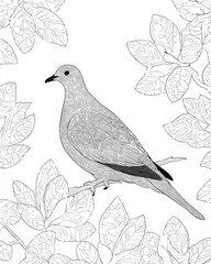 Dove Bird Side View – Detailed Feather Line Art Coloring Page