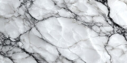 Obraz premium Elegant White Stone Surface with Organic Veins