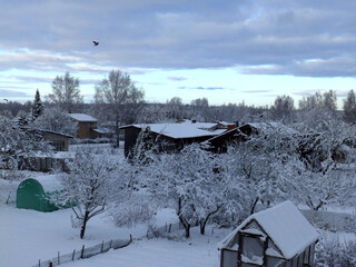 wonderful landscape from a winter morning, blue hour, trees covered with fresh snow, peace and quiet in nature