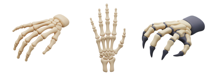 Discover detailed anatomical hand bone structures and a menacing claw for creative projects with transparent background