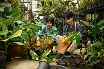 A local family business owner works in a plant nursery, mother and son carefully cutting branches for propagation